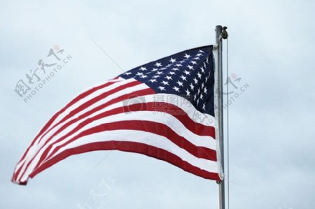 蓝天下的美国国旗