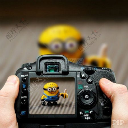 相机里的小黄人