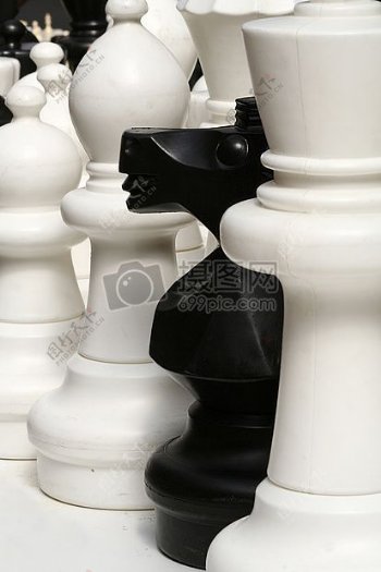 黑白的象棋