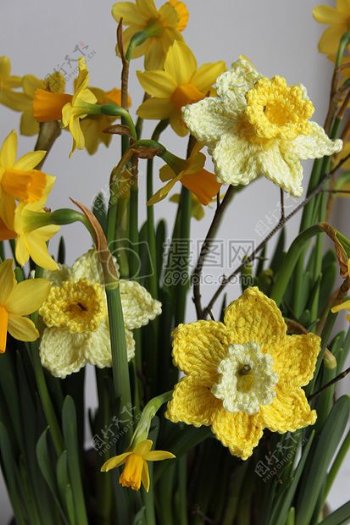 针织的黄色花朵