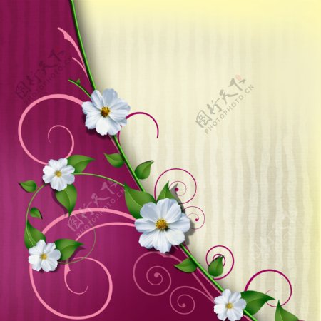 花朵藤蔓背景图片