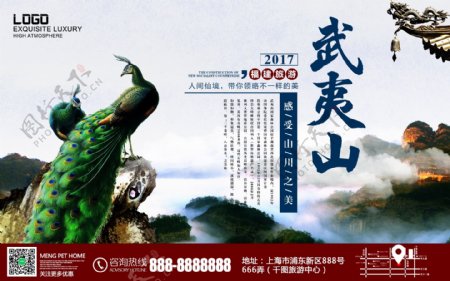 福建景点武夷山旅游宣传海报