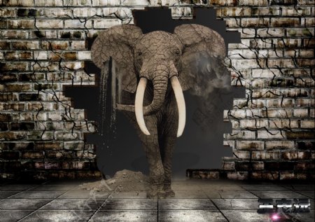 大象炫酷背景墙