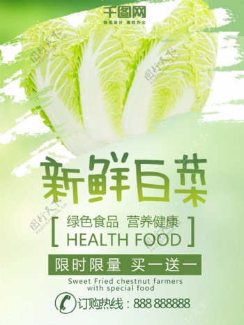 新鲜大白菜绿色食品买一送一促销海报