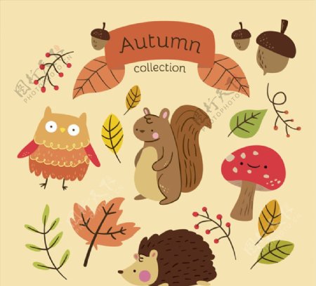 16款可爱秋季叶子和动物矢量图
