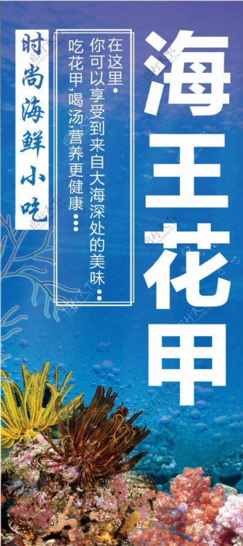 海王花蛤海报