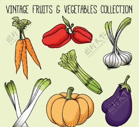 7款彩绘蔬菜设计矢量素材