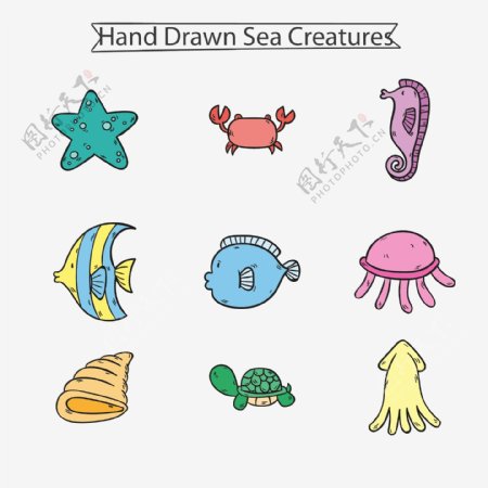 9款彩绘海洋动物矢量素材