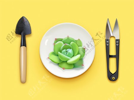 多肉植物工具剪刀icon图标设计