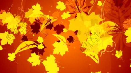 秋天树叶旋转缩放飘落视频素材