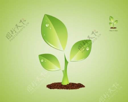 绿色植物icon图标