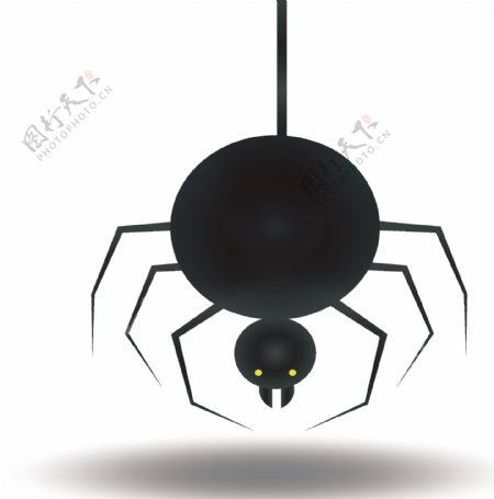 黑色万圣节蜘蛛