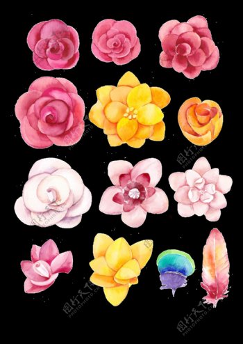 五彩手绘花朵png透明素材