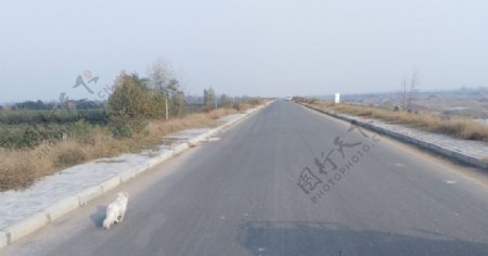 乡村道路风景