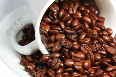 白瓷杯里的熟咖啡豆