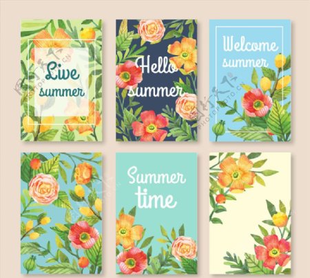 彩色夏季花卉卡片