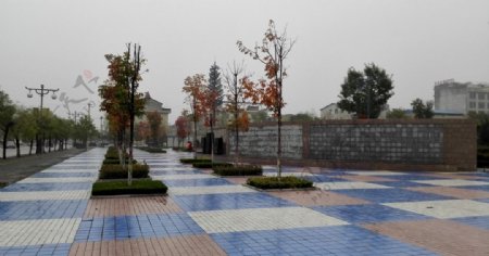 雨天的公园