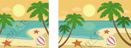 棕榈树和海岸的风景
