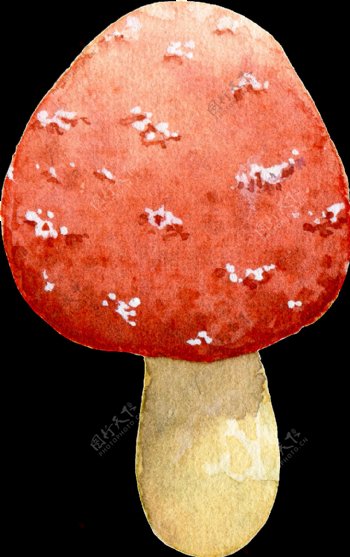 菌菇类红色蘑菇透明装饰素材