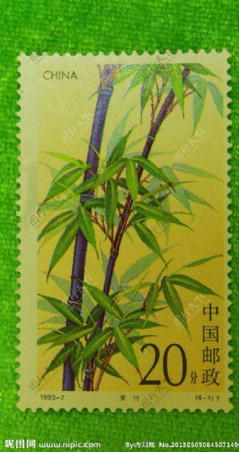 紫竹邮票