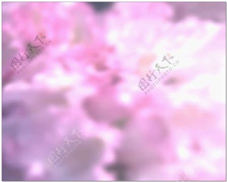 粉色云朵婚礼片头视频背景素材