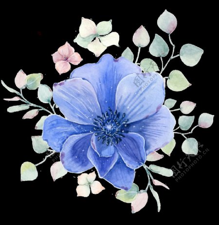 手绘装饰书签蓝色花透明装饰图案