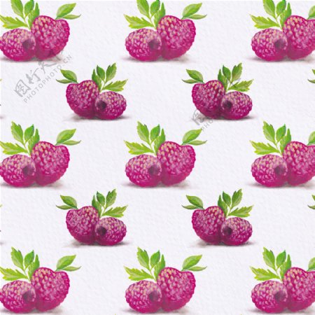 树莓模式的背景