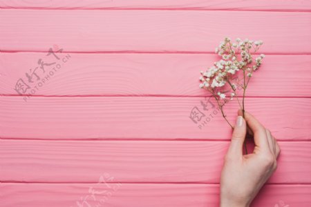 粉色木纹背景