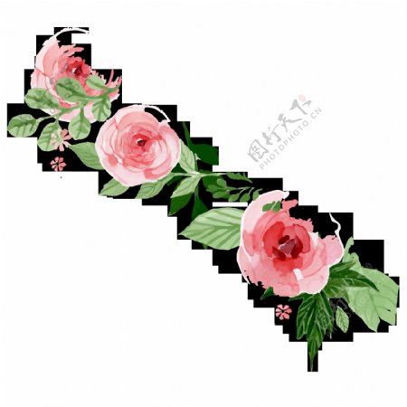 手绘水粉玫瑰花素材