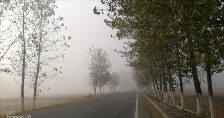 大雾下的乡村公路