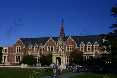 新西兰大学