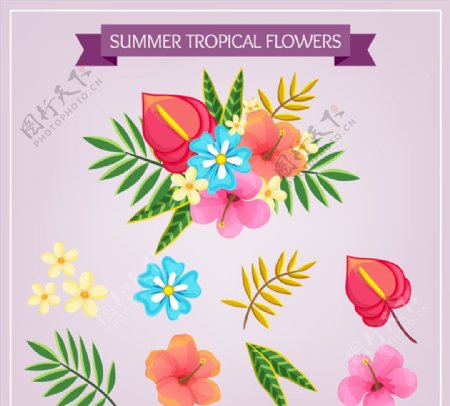 9款热带花卉和叶子矢量素材