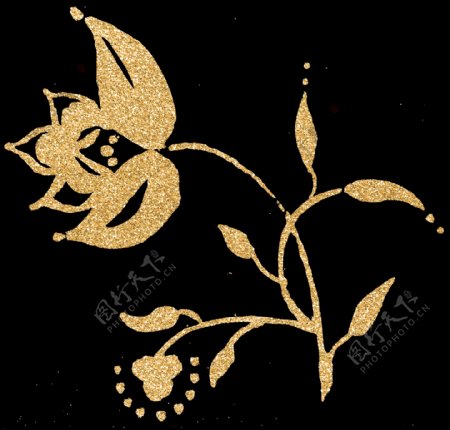 金色阴影花卉透明素材