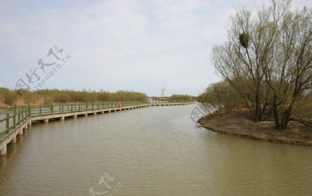 春之河岸