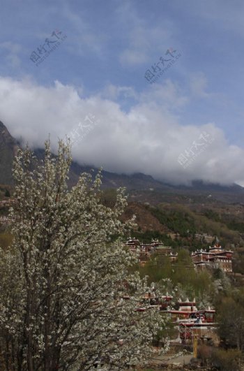 藏族村庄
