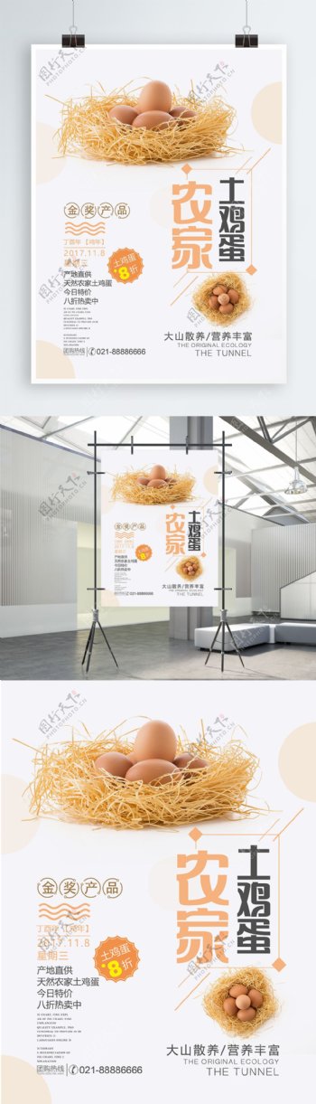 清新简约农家土鸡蛋促销宣传海报设计