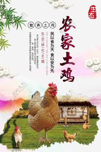 农家土鸡时尚插画海报
