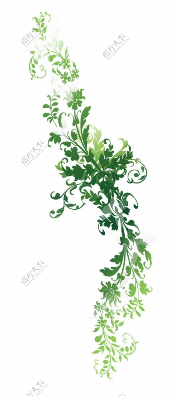 漂亮绿色装饰树叶免抠png透明图层素材