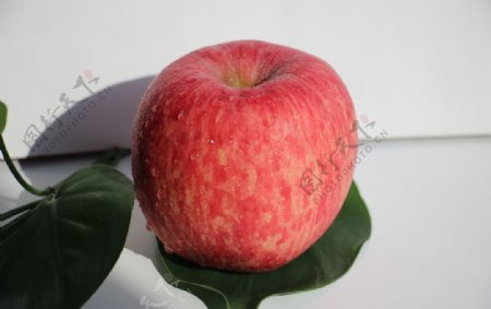 红富士苹果水果