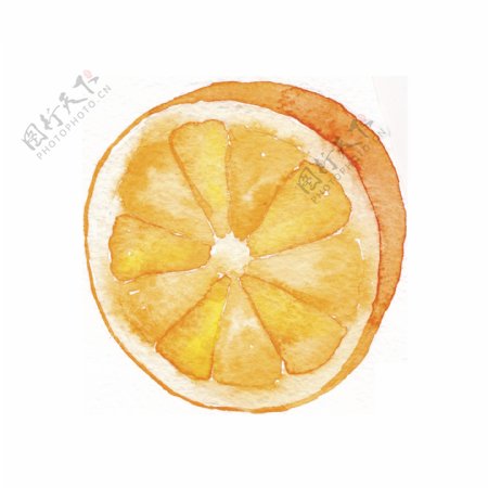 橙色手绘橙子卡通透明水果素材