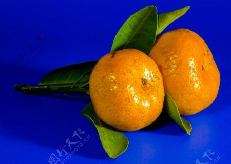 新鲜的橘子水果高清