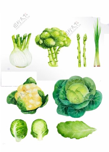 手绘绿色蔬菜