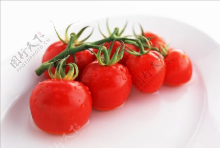 一串西红柿番茄