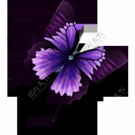 带投影的紫色蝴蝶免抠png透明素材