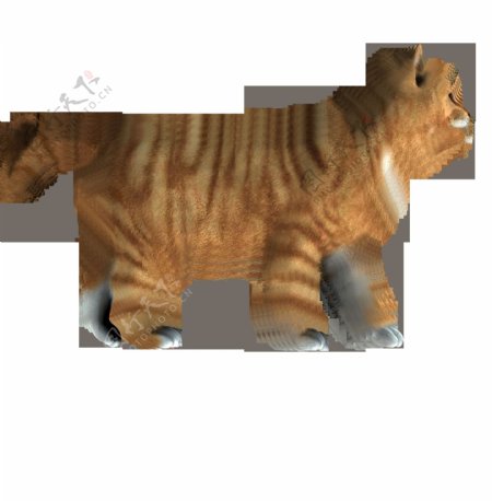 棕色条纹猫侧面图免抠png透明素材