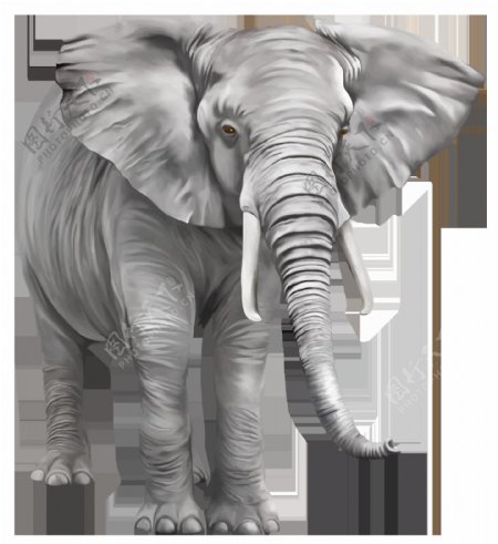 手绘灰色大象免抠png透明素材