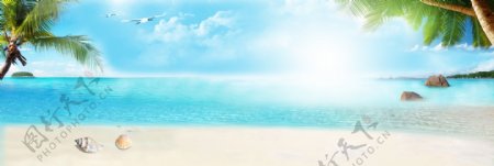 蓝色大海椰树banner背景素材