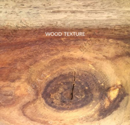 逼真带木结的木板背景矢量素材