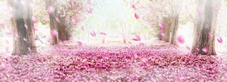 粉色玫瑰花朵浪漫淘宝全屏banner背景