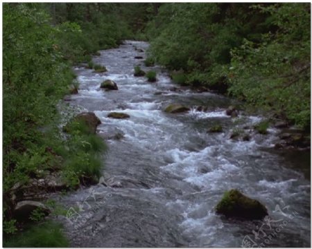 河流动态视频素材